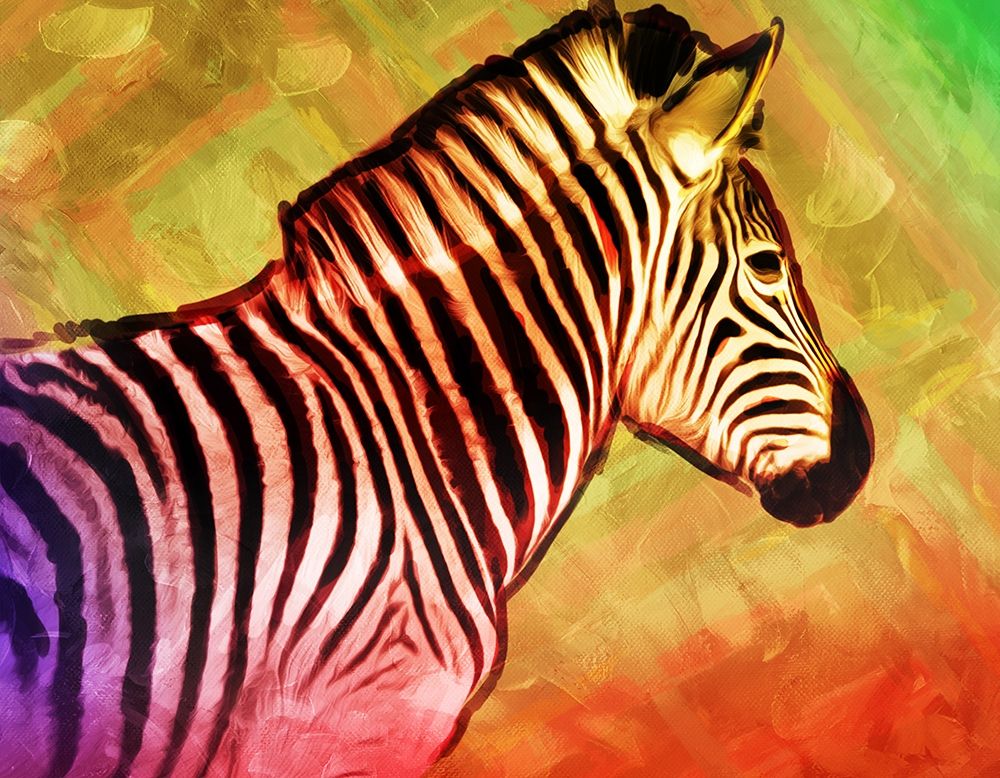 Bright Zebra art print by Milli Villa for $57.95 CAD