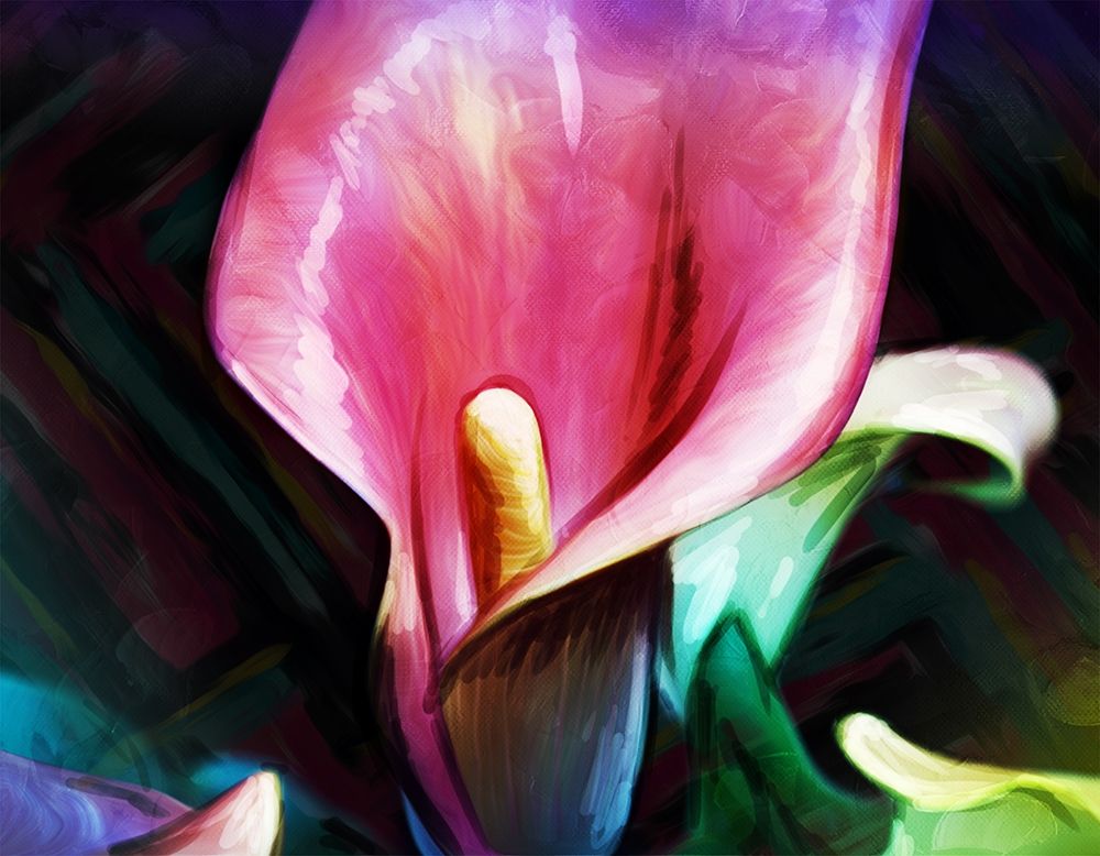 Bright Calla Lilies art print by Milli Villa for $57.95 CAD