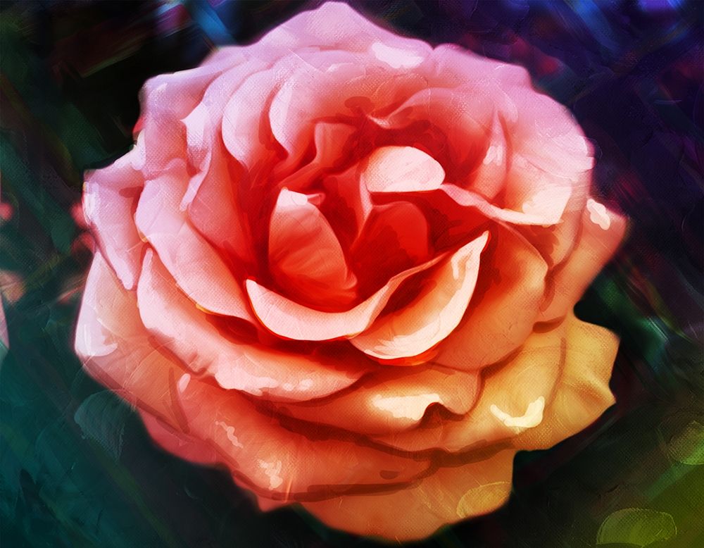 Bright Rose art print by Milli Villa for $57.95 CAD