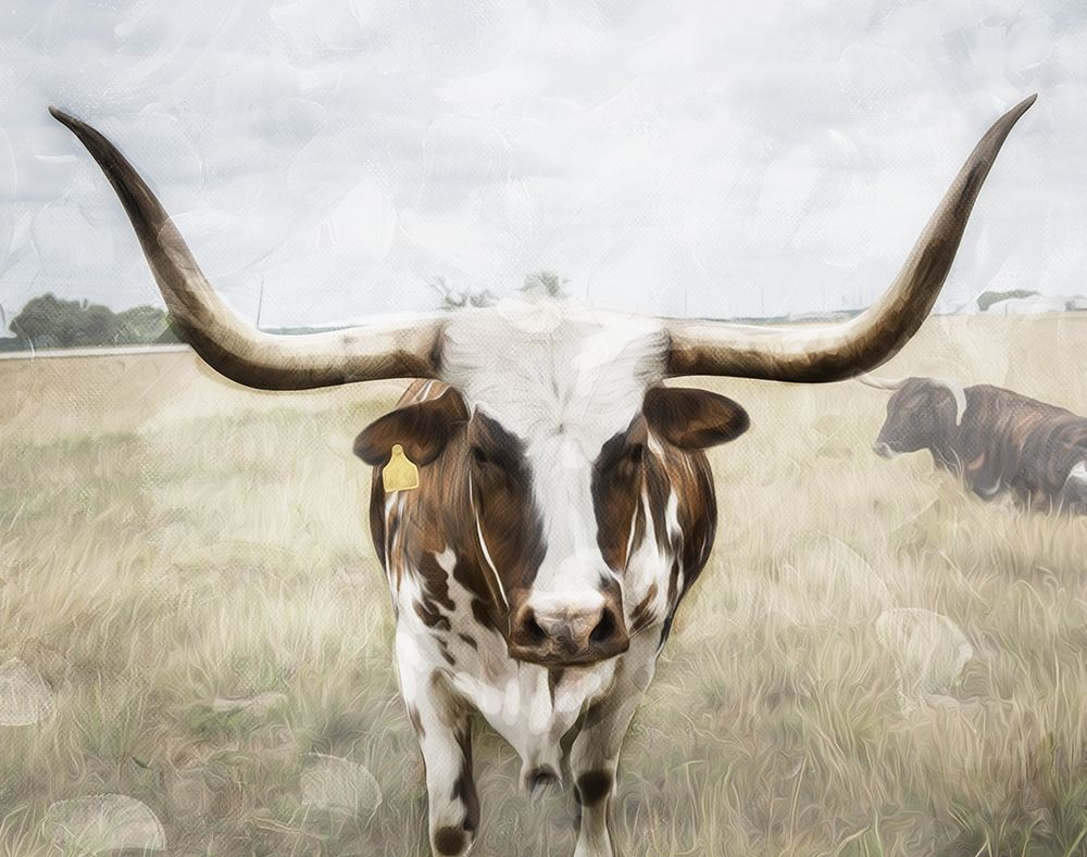 Steer the Herd art print by Milli Villa for $57.95 CAD