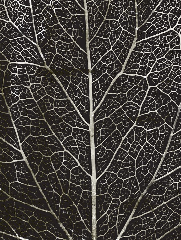 Charcoal Leaf Grain art print by Milli Villa for $57.95 CAD