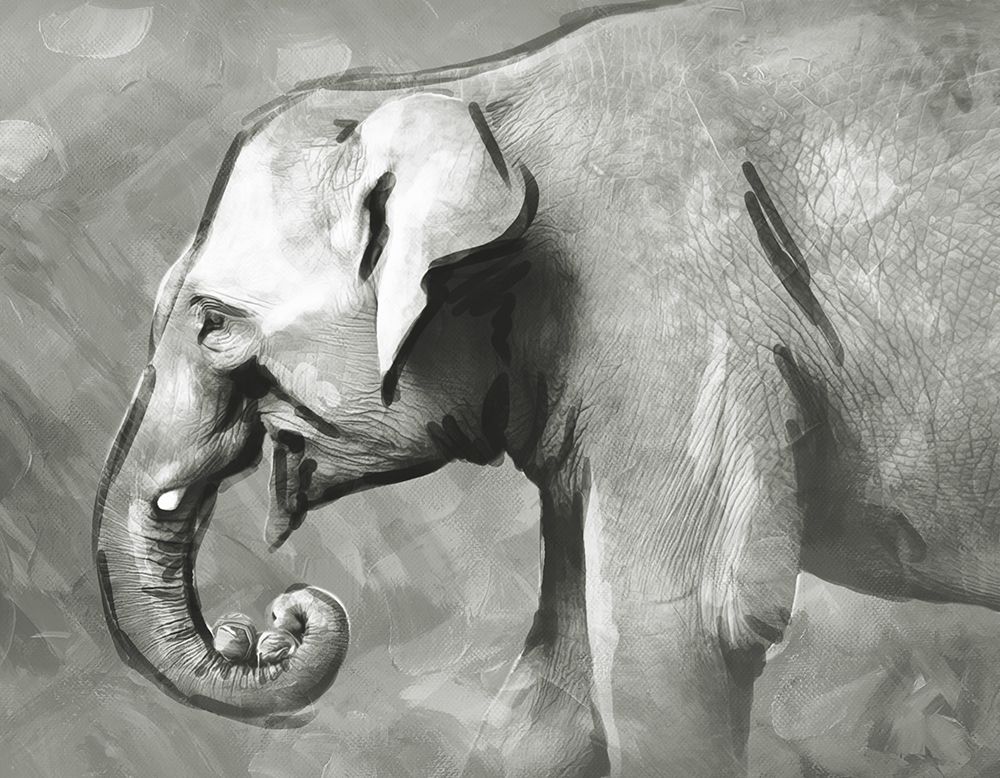 Charcoal Elephant art print by Milli Villa for $57.95 CAD