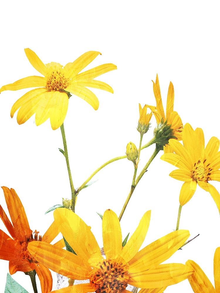 Vibrant Flowers art print by Milli Villa for $57.95 CAD