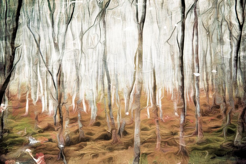 Lots A Trees art print by Milli Villa for $57.95 CAD