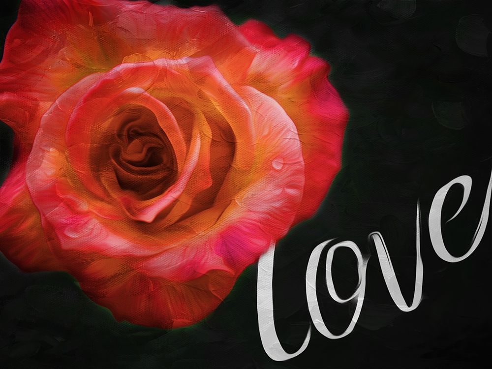 Love Flower art print by Milli Villa for $57.95 CAD