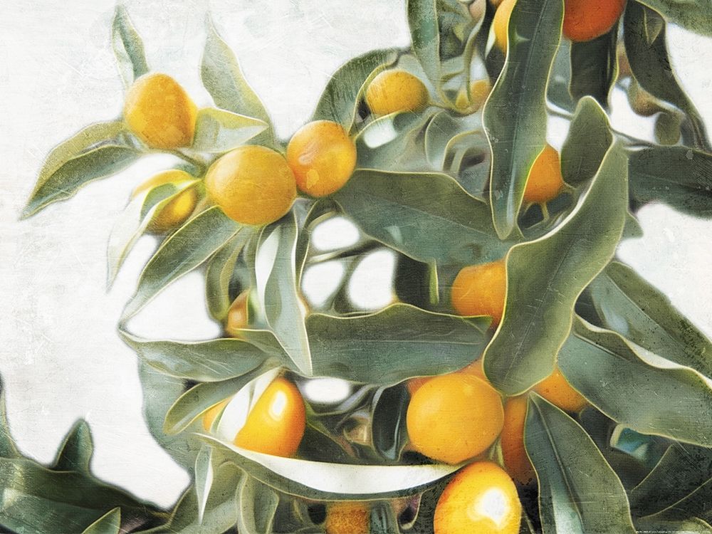 Lemons art print by Milli Villa for $57.95 CAD