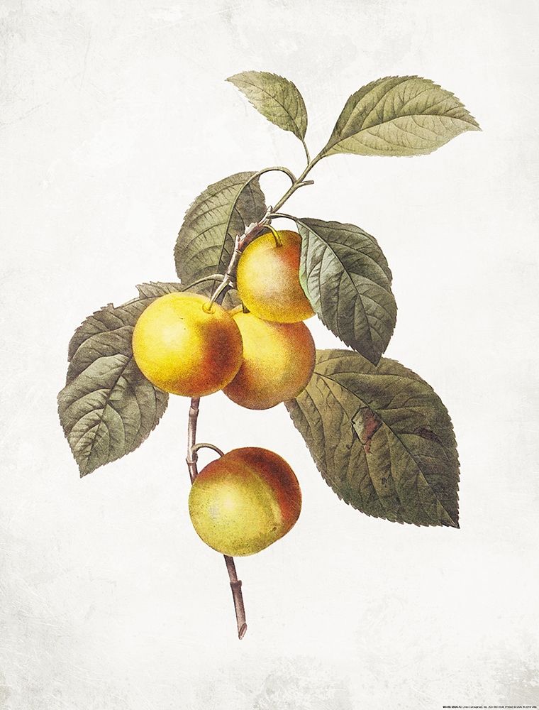 Less Lemons art print by Milli Villa for $57.95 CAD