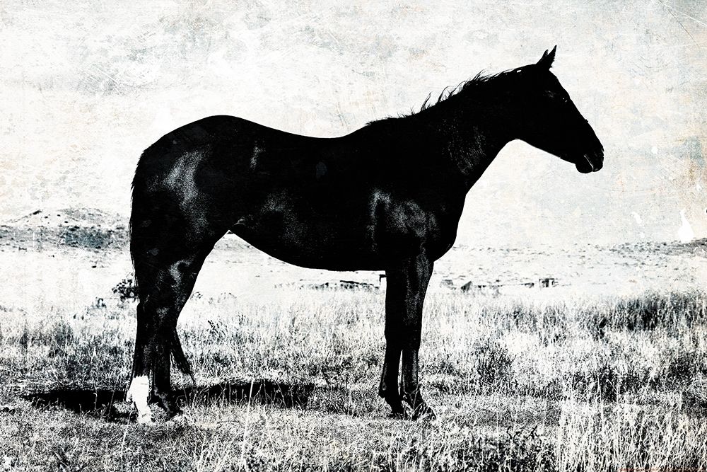 Horse Stance art print by Milli Villa for $57.95 CAD