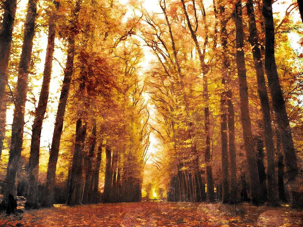 Fallow Your Path art print by Milli Villa for $57.95 CAD