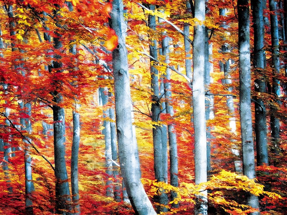 Fall Is Here art print by Milli Villa for $57.95 CAD