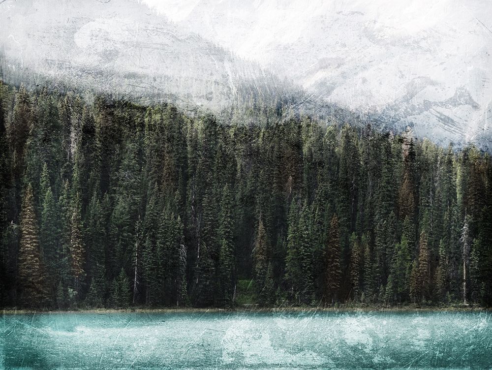 Look At The Trees art print by Milli Villa for $57.95 CAD