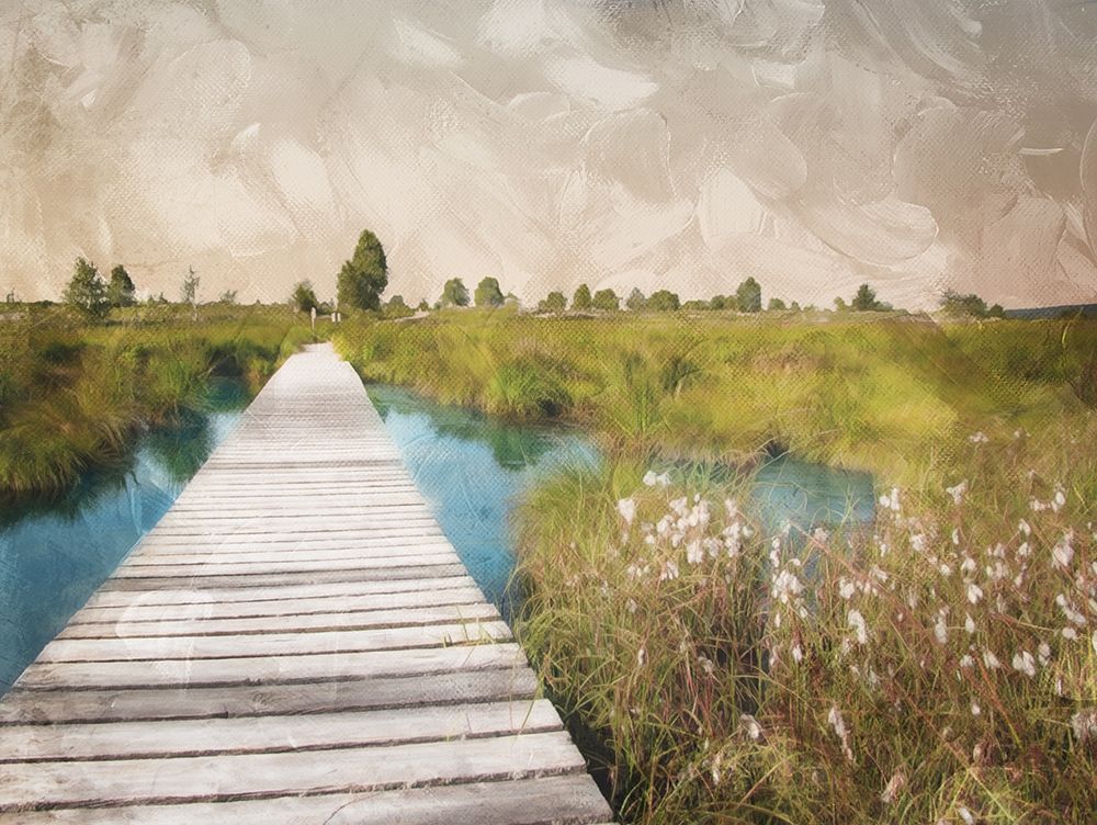 On The Marsh art print by Milli Villa for $57.95 CAD