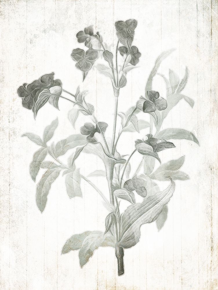 Soft Flowers On Wood art print by Milli Villa for $57.95 CAD