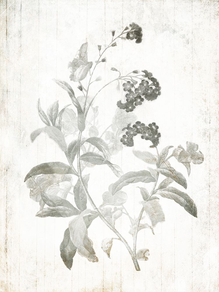 Soft Flowers On Wood Mate art print by Milli Villa for $57.95 CAD