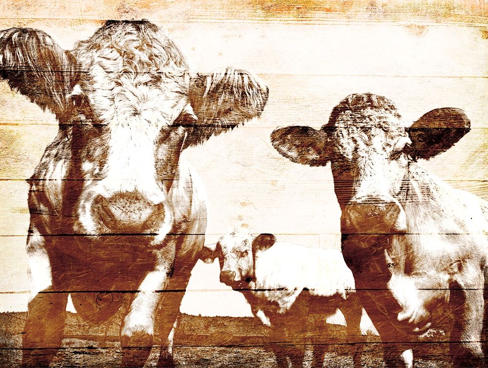 Cow Posse art print by Milli Villa for $57.95 CAD