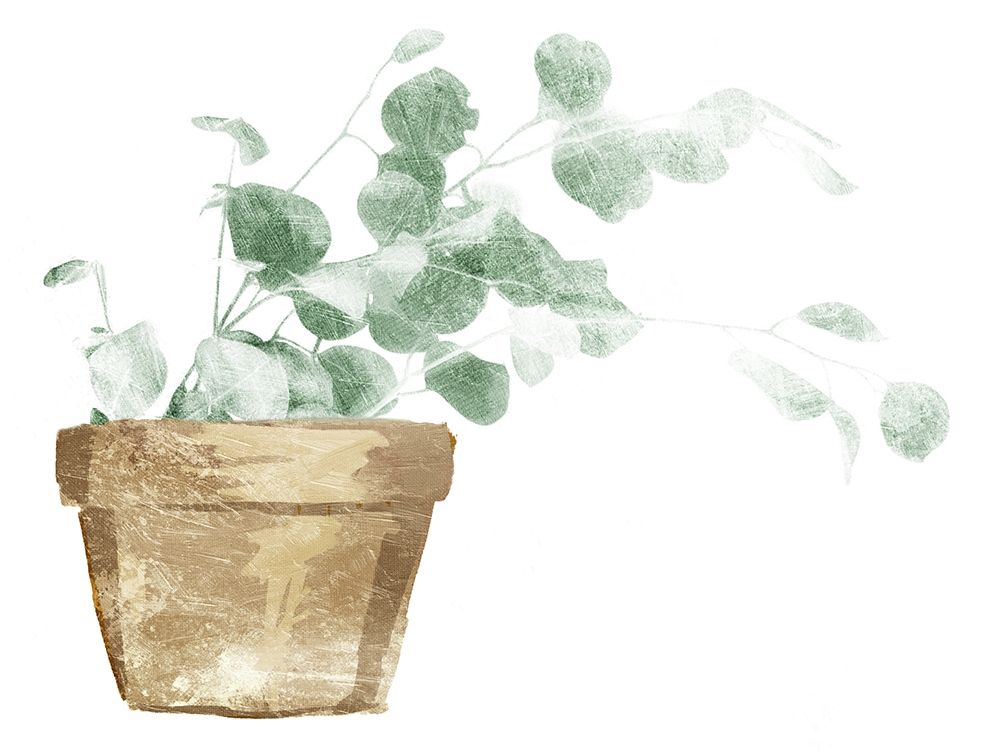 Eucalyptus Planted art print by Milli Villa for $57.95 CAD
