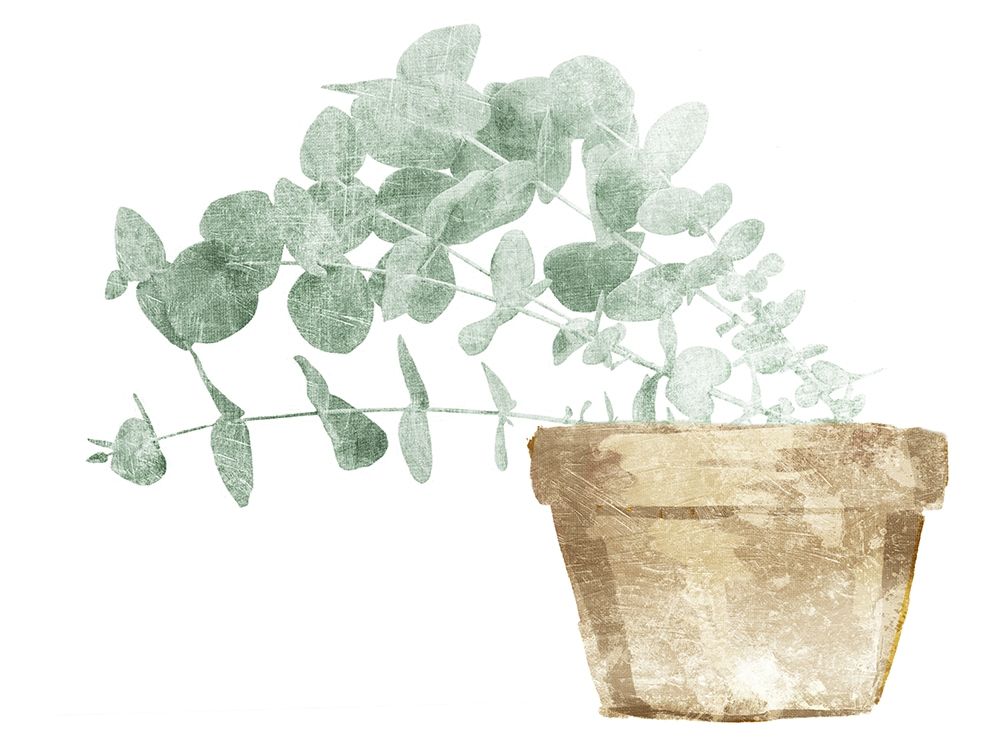 Eucalyptus Planted Mate art print by Milli Villa for $57.95 CAD