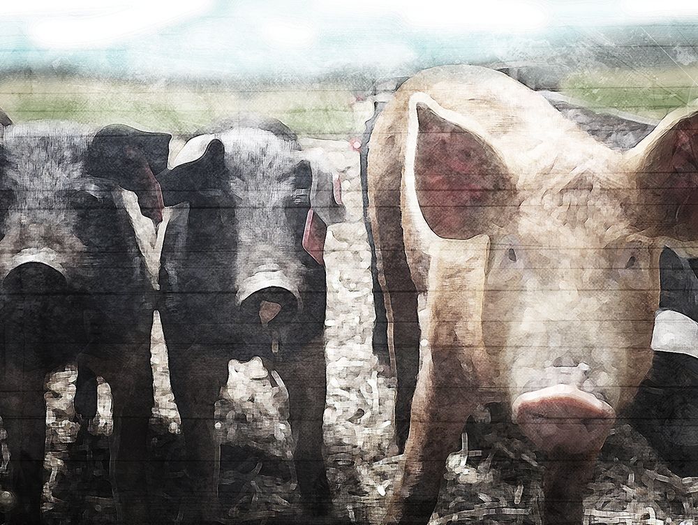 Three Little Pigs art print by Milli Villa for $57.95 CAD