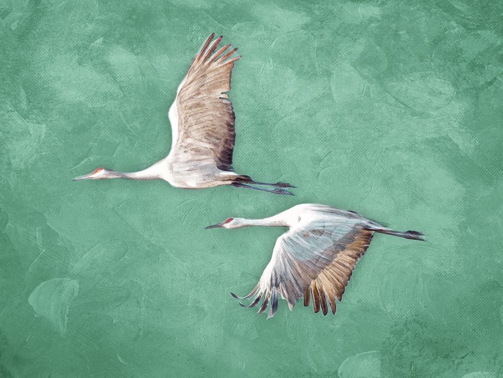 Fly Together art print by Milli Villa for $57.95 CAD