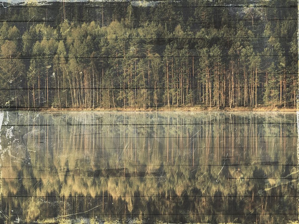 Through The Woods art print by Milli Villa for $57.95 CAD