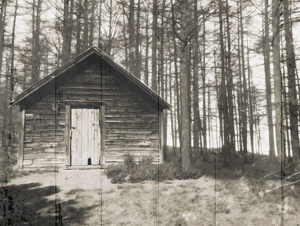 Cabin In The Woods art print by Milli Villa for $57.95 CAD