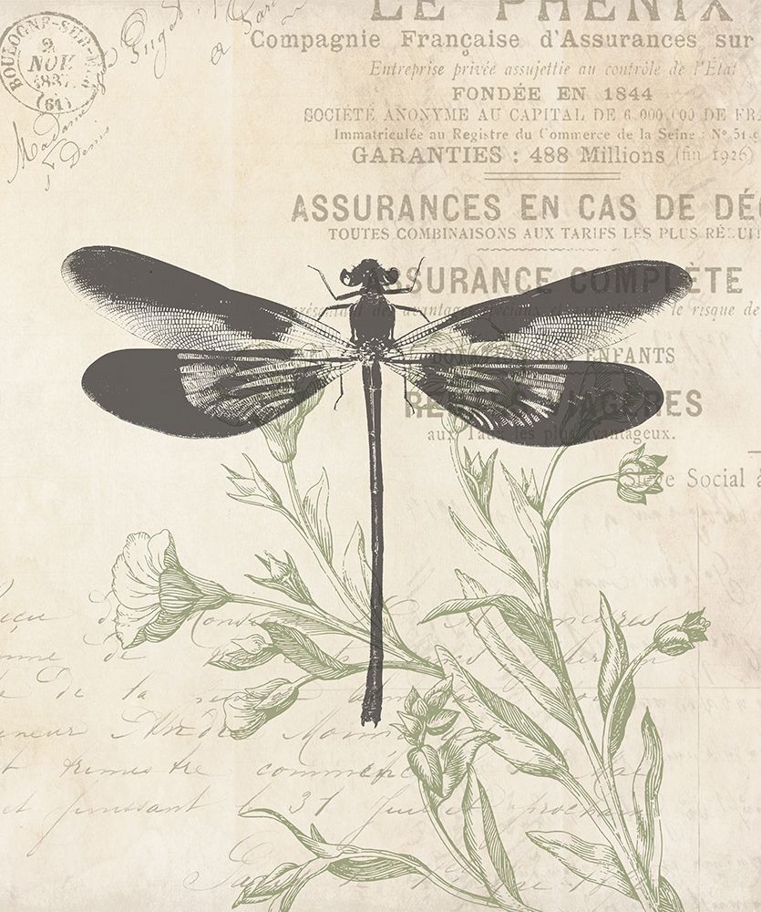 Lightened Vintage Insects art print by Milli Villa for $57.95 CAD