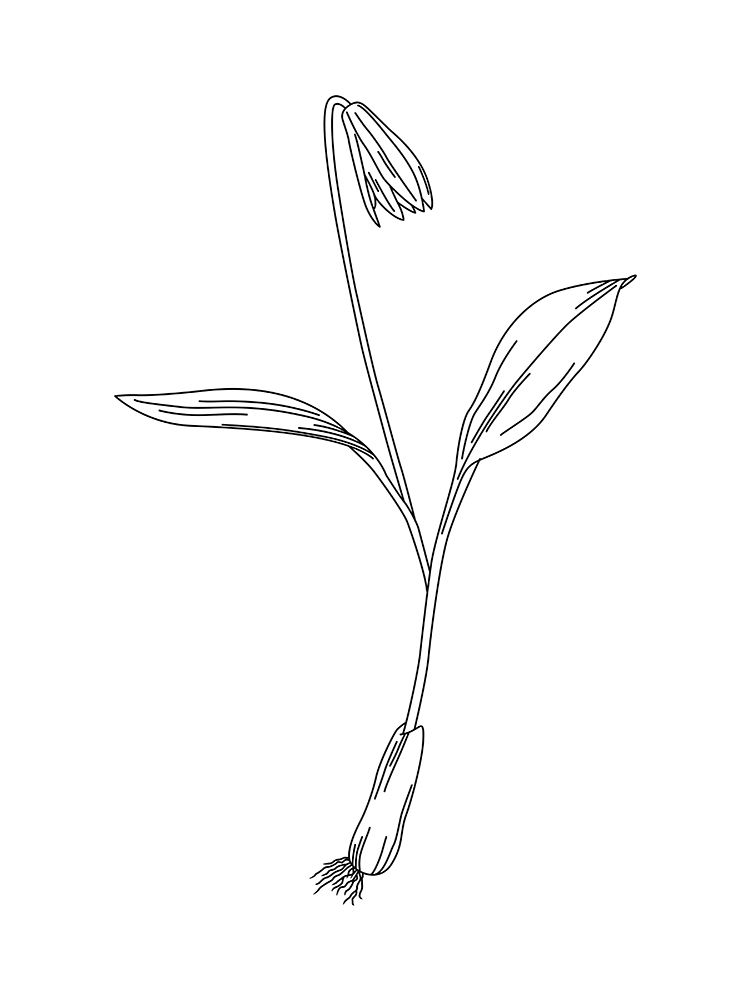 Clean Flowers Mate art print by Milli Villa for $57.95 CAD