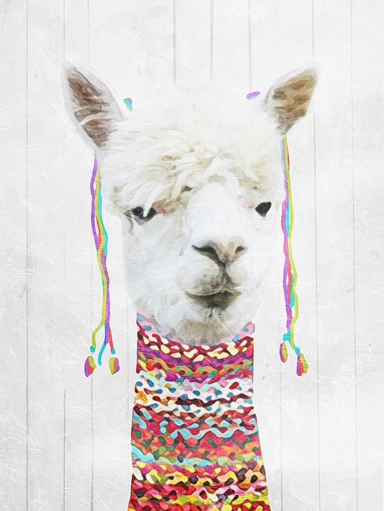 Dressed Llama art print by Milli Villa for $57.95 CAD
