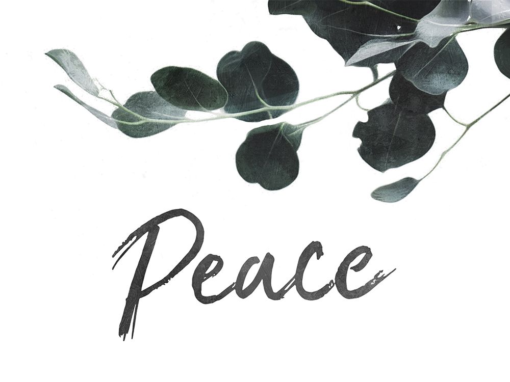 Peace Leaves art print by Milli Villa for $57.95 CAD