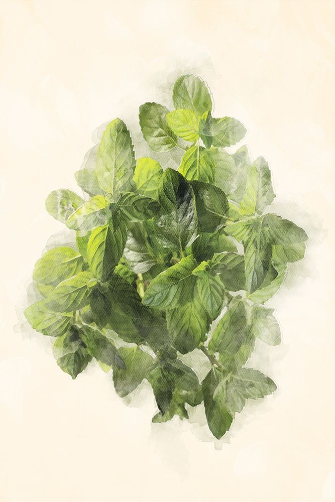 More Green Leaves art print by Milli Villa for $57.95 CAD