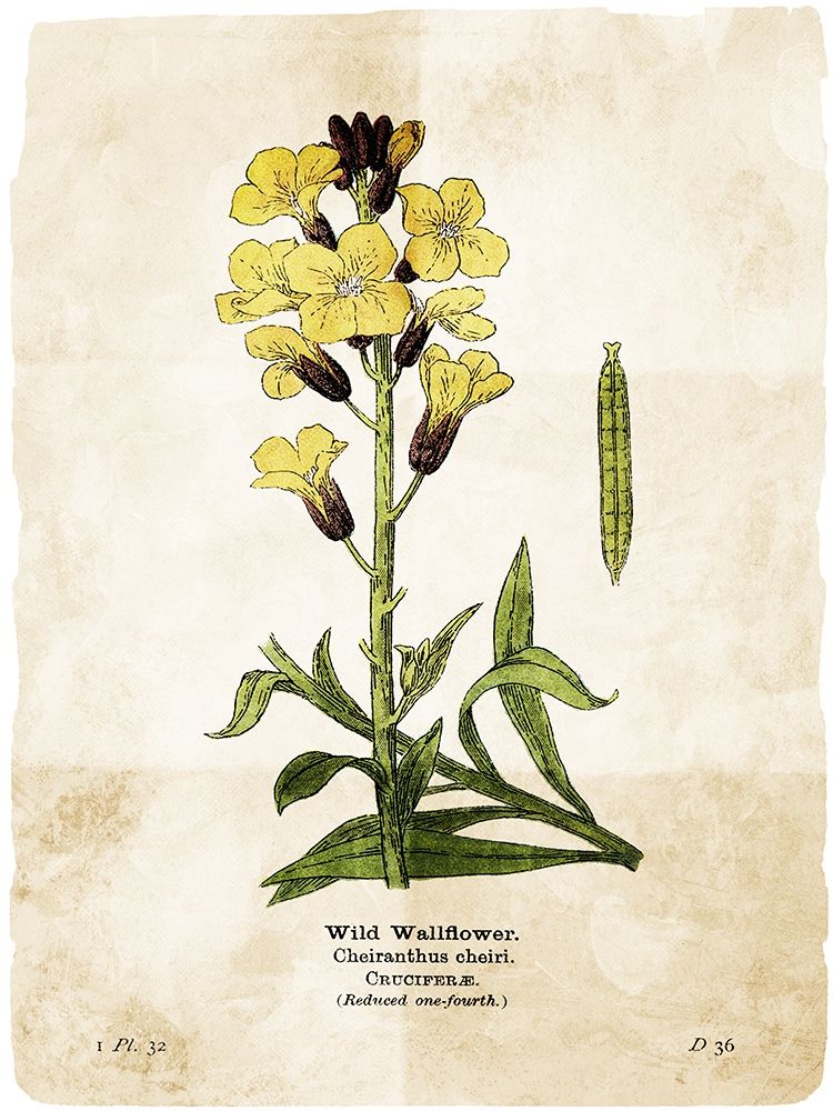 Flower Page Four art print by Milli Villa for $57.95 CAD