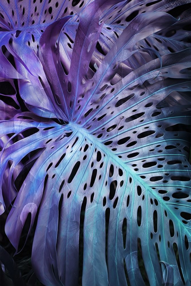 Night Foliage art print by Milli Villa for $57.95 CAD