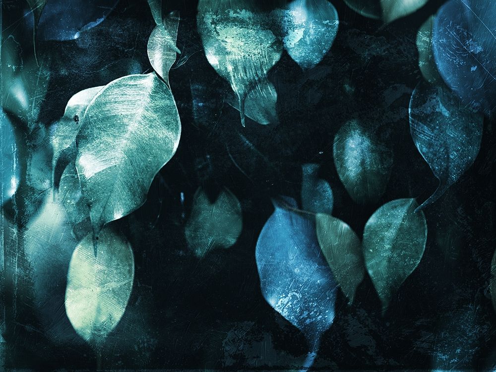 Teal Hanging Leaves art print by Milli Villa for $57.95 CAD