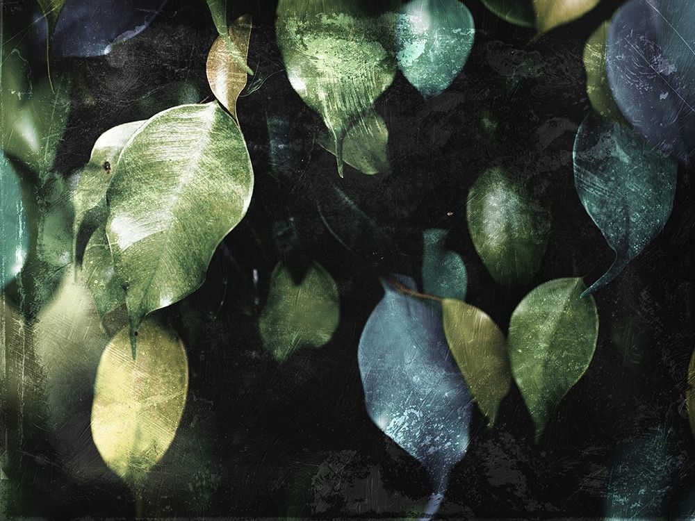 Hanging Leaves art print by Milli Villa for $57.95 CAD