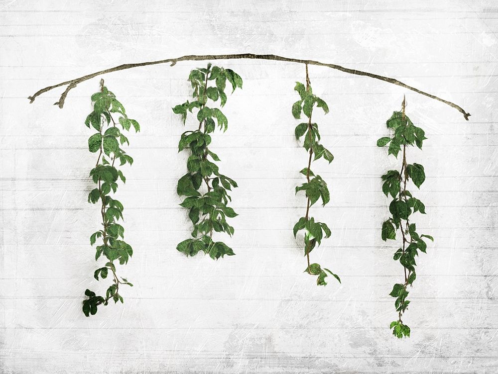 Hanging Leaves On Wall art print by Milli Villa for $57.95 CAD