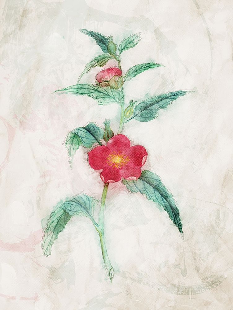Water Flower art print by Milli Villa for $57.95 CAD