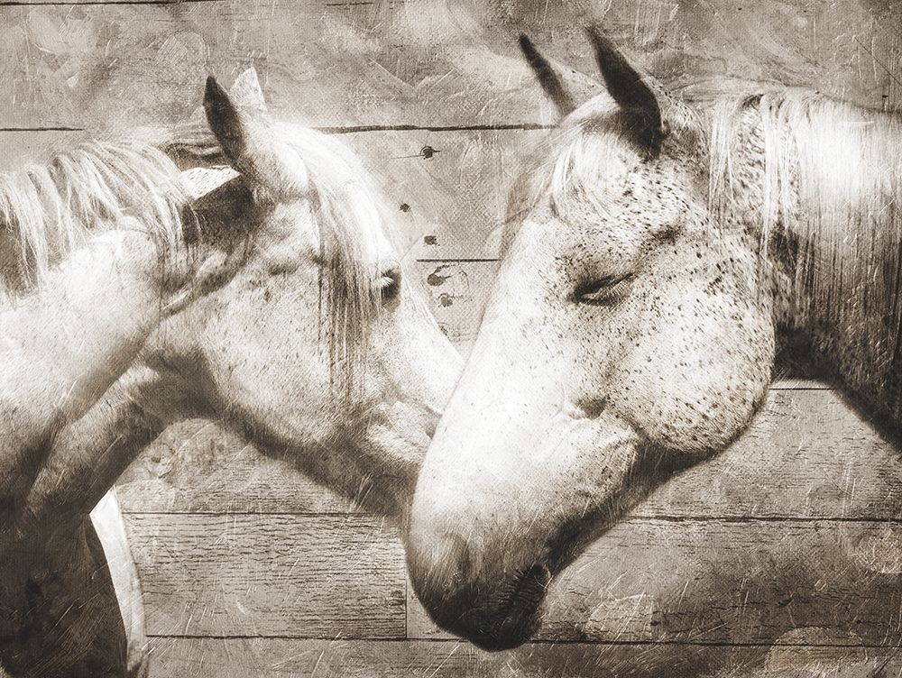 Love Horses art print by Milli Villa for $57.95 CAD