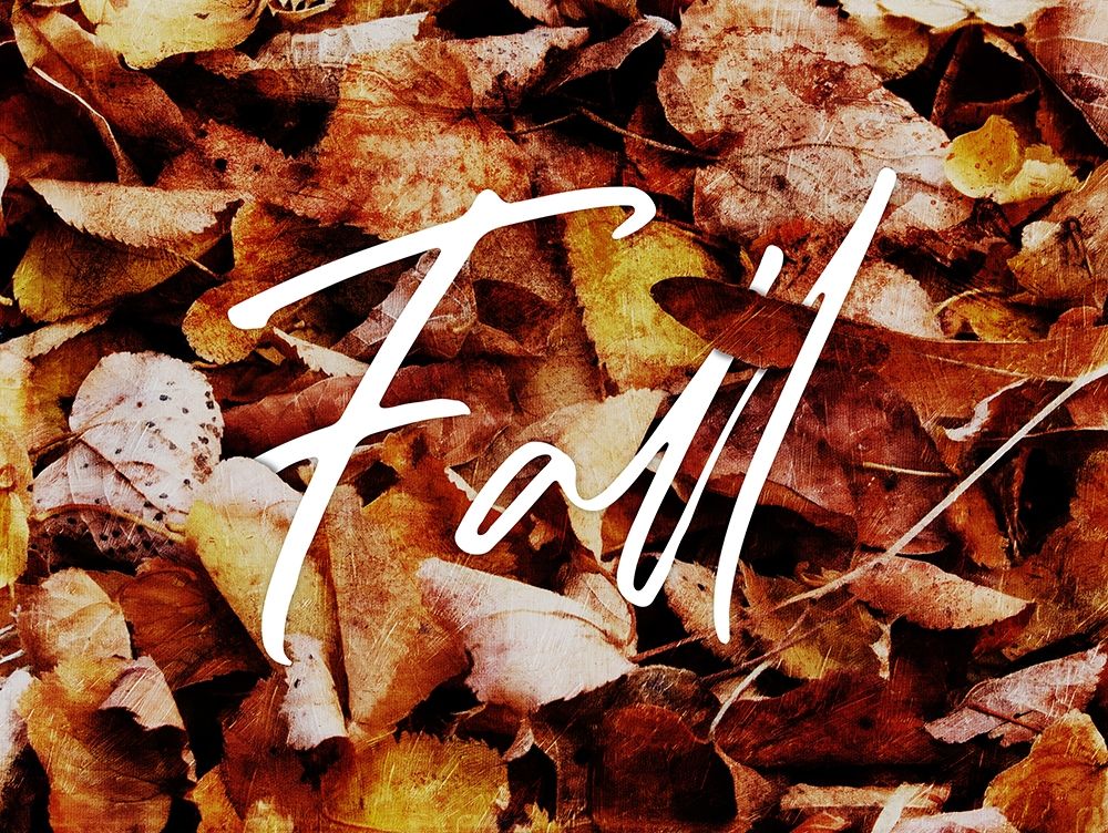 Fall art print by Milli Villa for $57.95 CAD