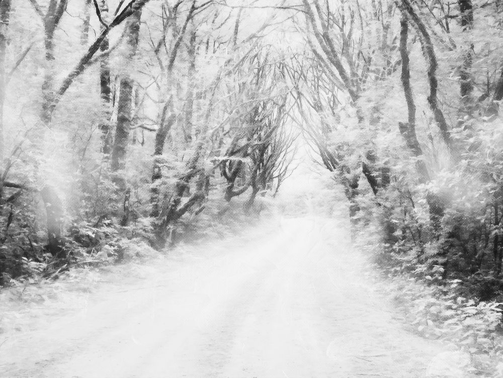 Snow Way art print by Milli Villa for $57.95 CAD