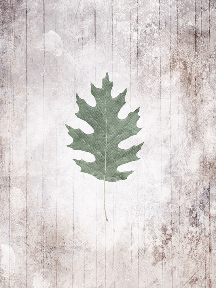 Washed Leaf art print by Milli Villa for $57.95 CAD