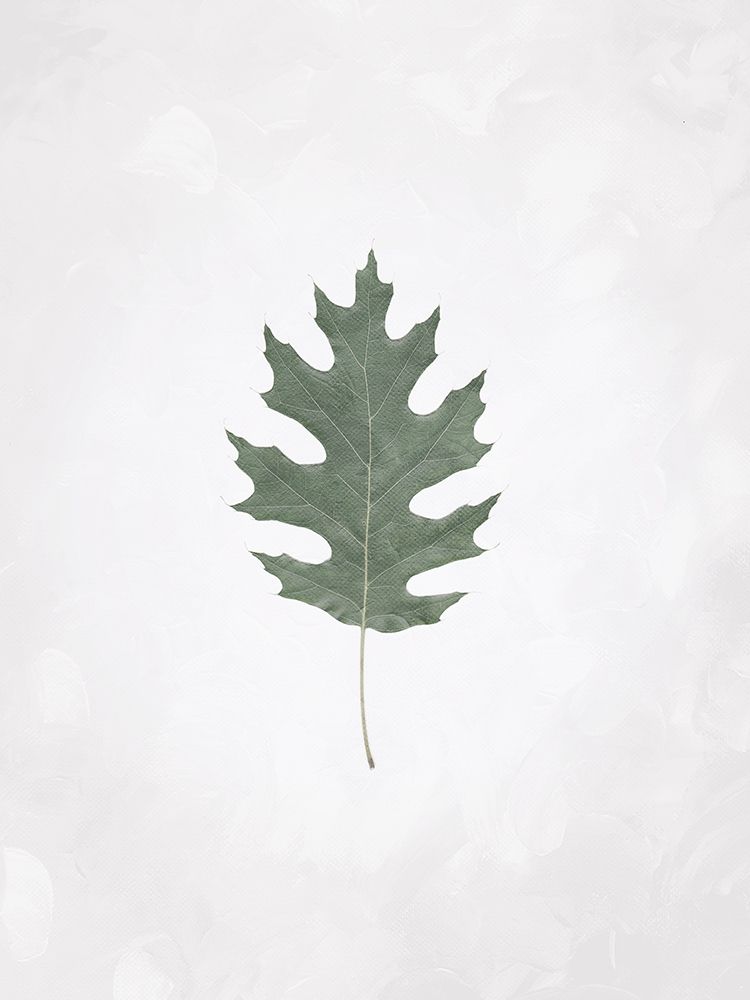 Washed Simple Leaf art print by Milli Villa for $57.95 CAD