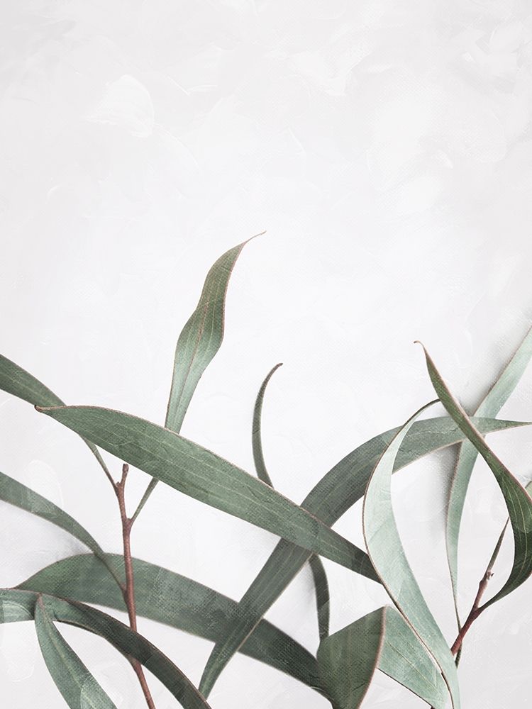 Washed Simple Leaves art print by Milli Villa for $57.95 CAD