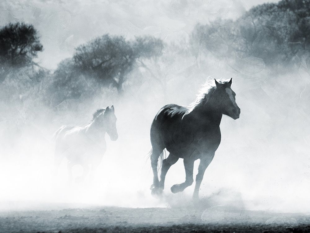 Running Horses 2 art print by Milli Villa for $57.95 CAD