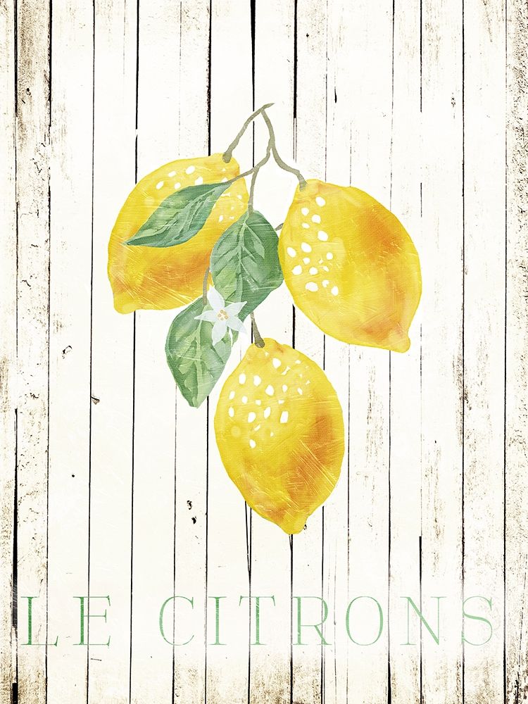 Wood Le Citrons art print by Milli Villa for $57.95 CAD