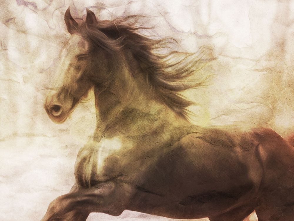 Horse On The Run art print by Milli Villa for $57.95 CAD