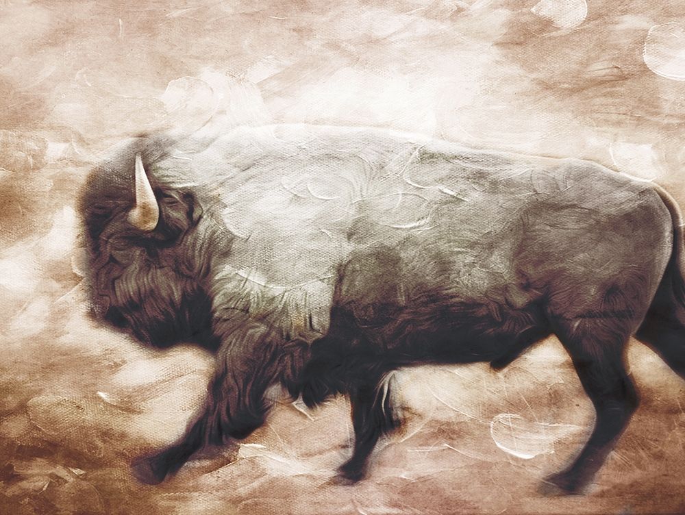 Buffalo Walk art print by Milli Villa for $57.95 CAD
