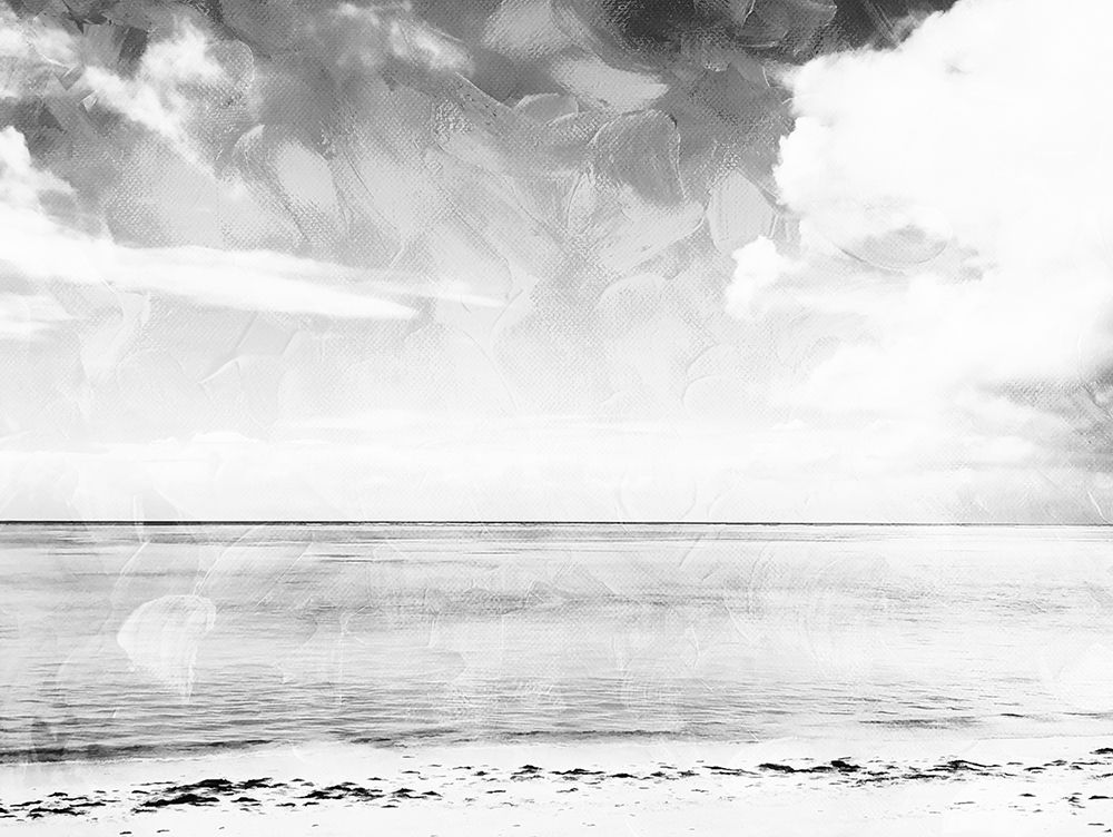Sea Life Colorless art print by Milli Villa for $57.95 CAD