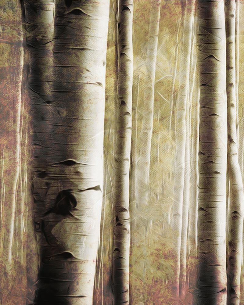 Burnt Birch Family 1 art print by Milli Villa for $57.95 CAD
