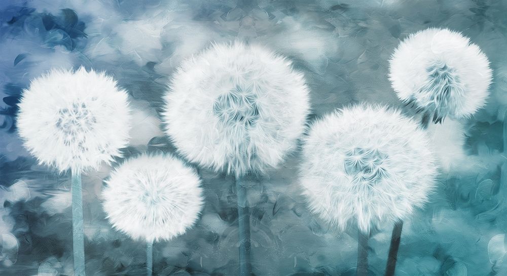 Make A Wish art print by Milli Villa for $57.95 CAD
