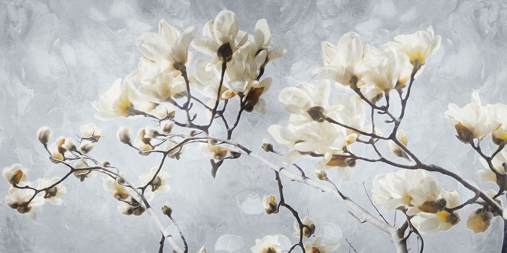 White Flowers In Grey art print by Milli Villa for $57.95 CAD